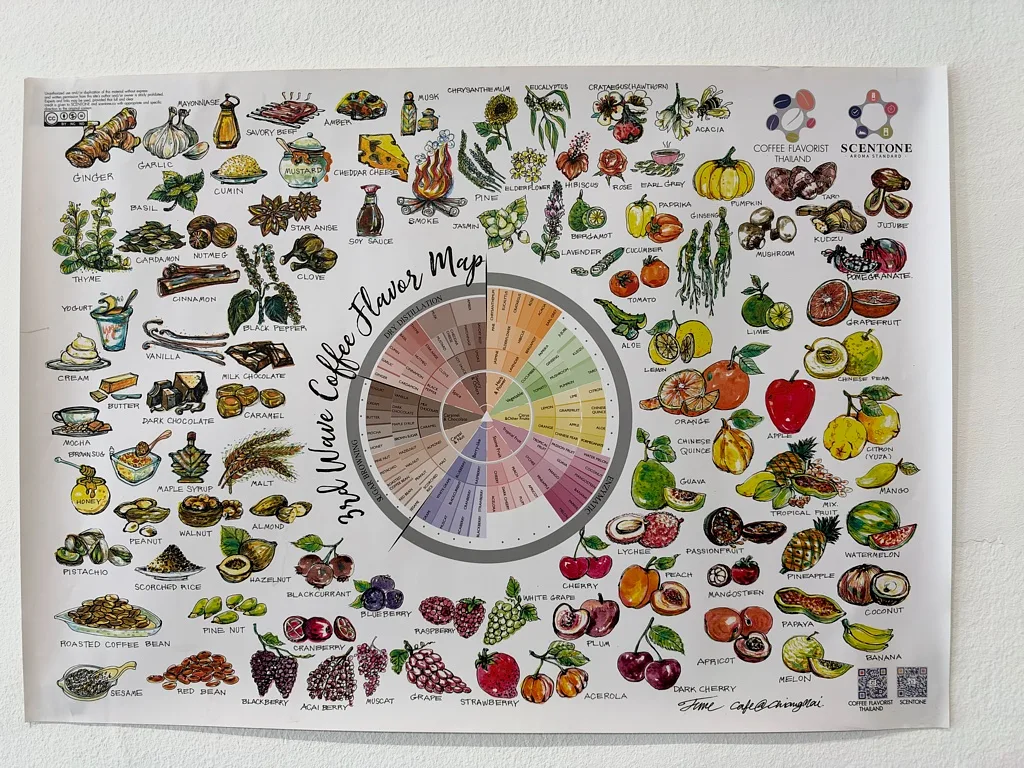 Coffee flavours map